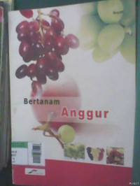 Bertanam Anggur