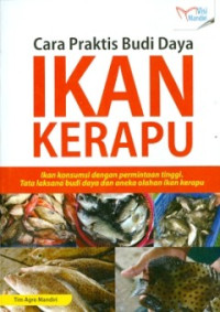 Cara Praktis Budidaya Ikan Kerapu
